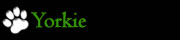 Yorkie